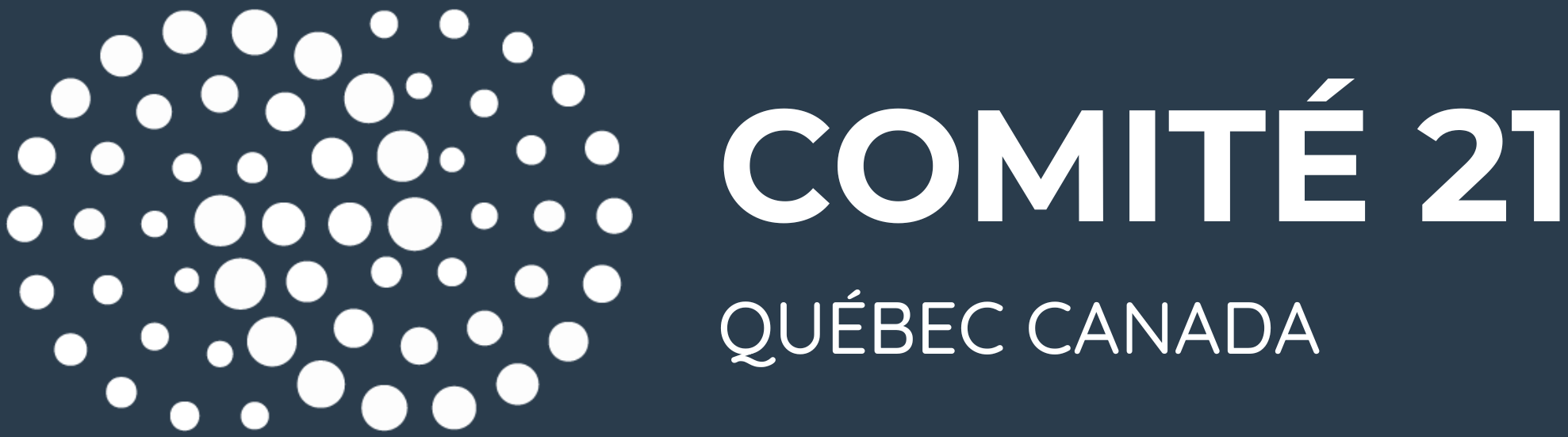 Comité21 formation